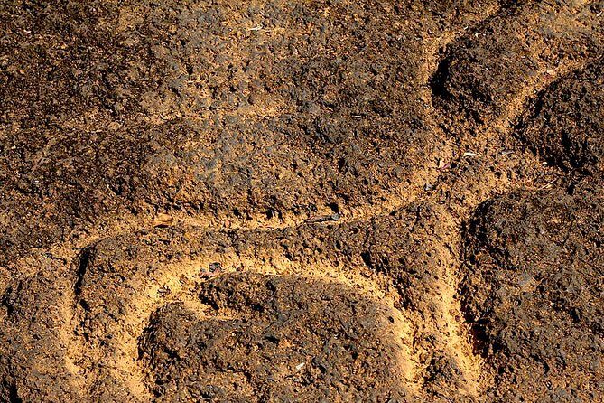 Private Goa tour of ancient rock art, laterite cave and bubble lake with lunch - Good To Know