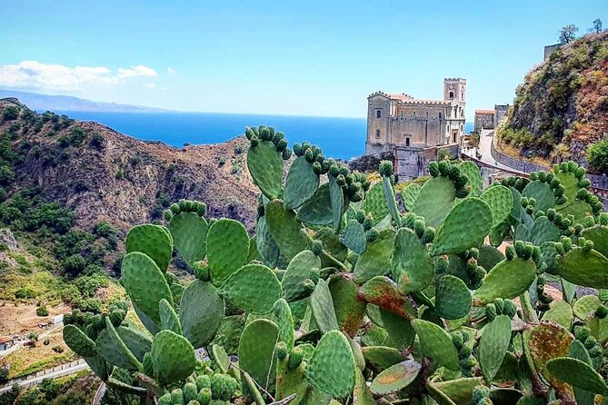 Private Godfather Tour Sicilian Food and House Wine Tasting - Customer Reviews