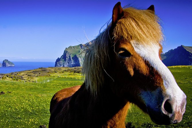 Private Golden Circle and Horse Riding Tour From Reykjavik - UNESCO-listed Thingvellir National Park