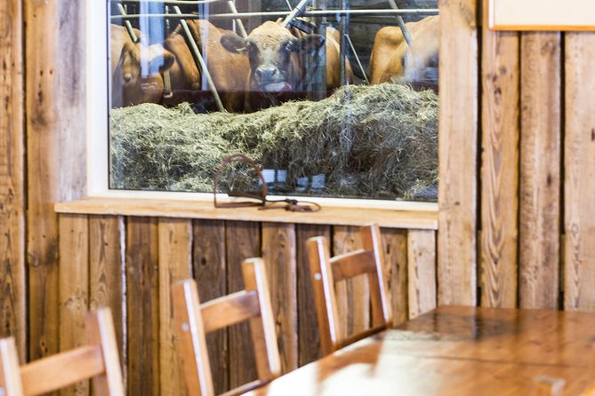 Private Golden Circle Gourmet Food Tasting Tour - The Sum Up