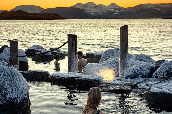 Private Golden Circle Tour (1-7pax) - Tour Details