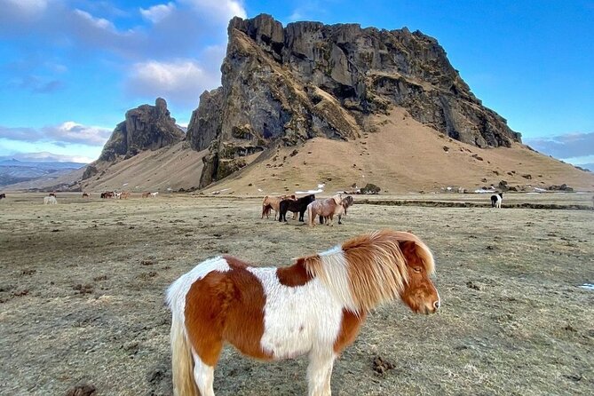 Private Golden Circle Tour (1-7pax) - Copyright Information