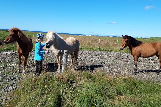 Private Golden Circle Tour and Horseback Riding - Terms and Conditions