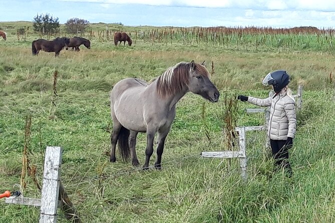 Private Golden Circle Tour and Horseback Riding - Common Questions