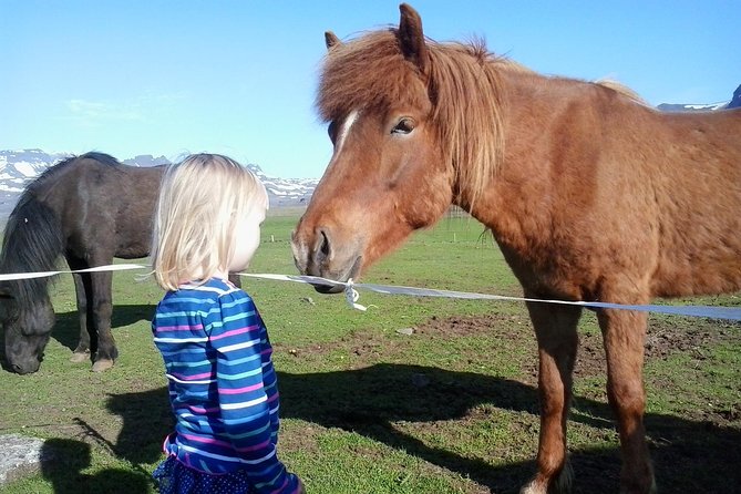 Private Golden Circle Tour From Reykjavik - Tour Overview and Highlights