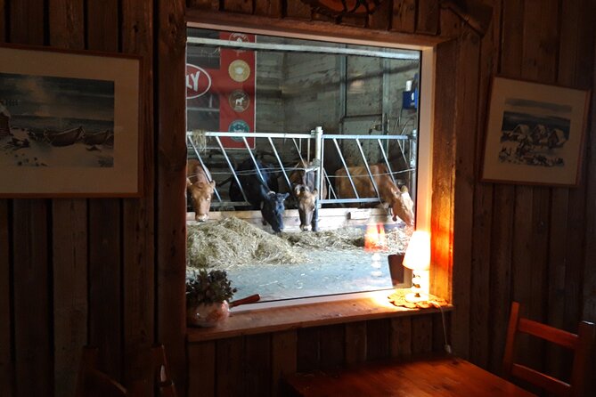 Private Golden Circle Tour From Reykjavik - Flexibility and Customization