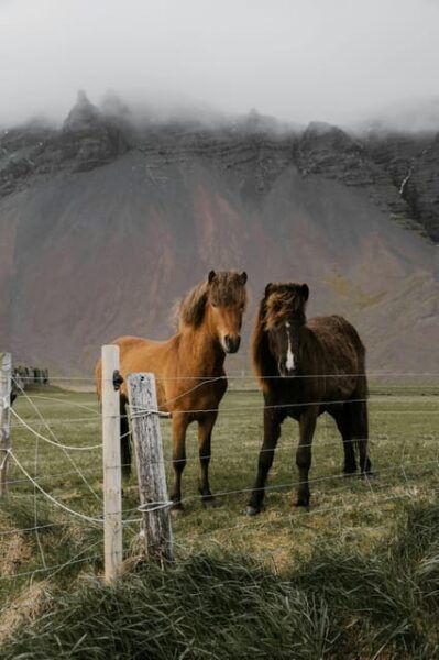 Private Golden Circle Tour With Experienced Tour Guide - Flexible Booking