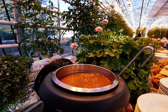 Private Golden Circle With Photographer, Lunch & Secret Lagoon - Reviews and Ratings