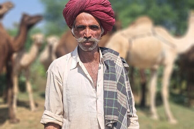 Private Golden Triangle Tour 5 Nights/6 Days - All Inclusive - The Itinerary: A Closer Look at What to Expect