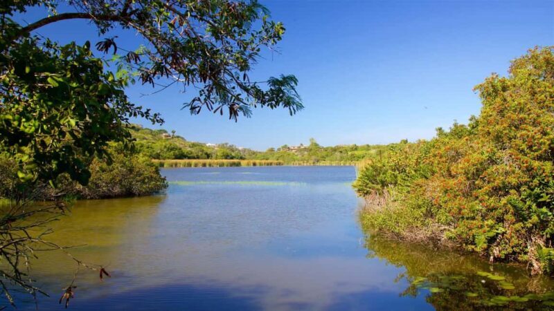 Private: Good Lagoon Exploration in Jaragua National Park - Exploring the Landscape and Scenic Drive