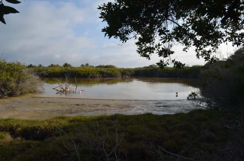 Private: Good Lagoon Exploration in Jaragua National Park - Wildlife Encounters and Conservation