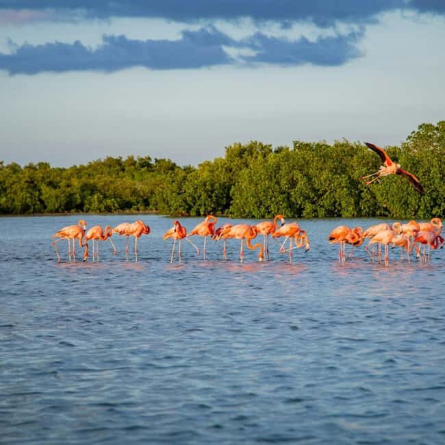 Private: Good Lagoon Exploration in Jaragua National Park - The Observation Post and Panoramic Views