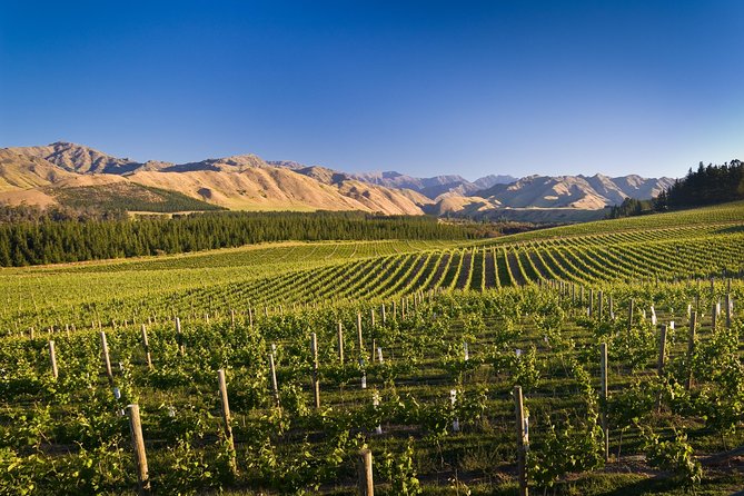 Private Gourmet Winemakers Tour - Picton Cruise Ship Excursion - Max 10 People - Exclusive Wine Tastings