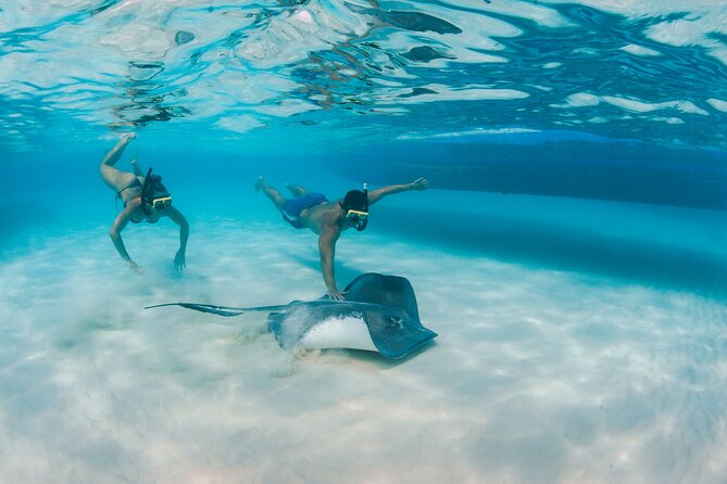 Private Grand Cayman Charters - Traveler Photos and Reviews