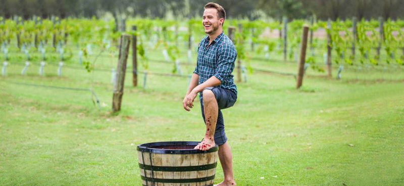 Private Grape Stomping in the Hunter Valley - Key points before you book