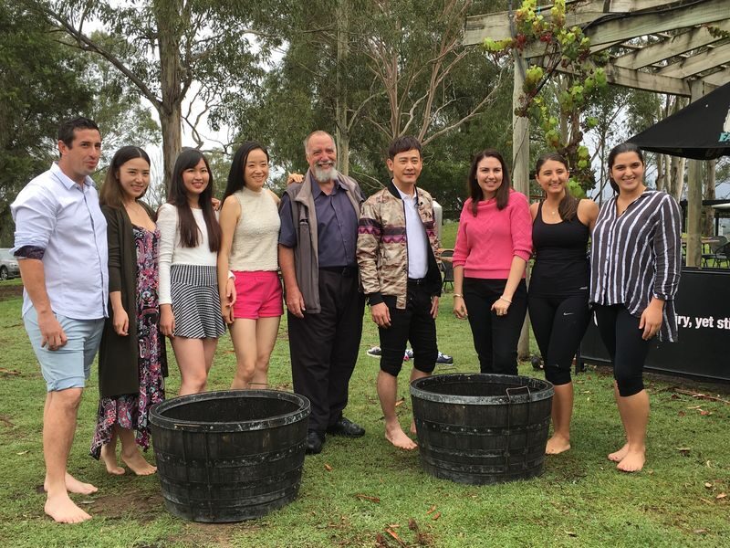 Private Grape Stomping in the Hunter Valley - How the team contest works
