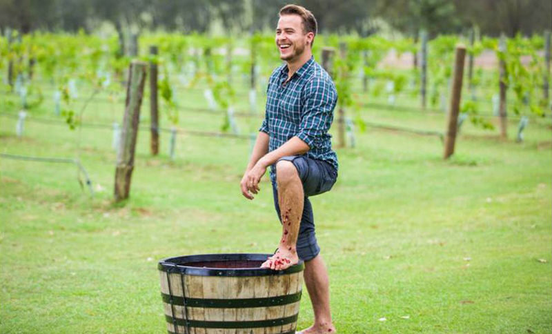 Private Grape Stomping in the Hunter Valley - What the starting price gets you