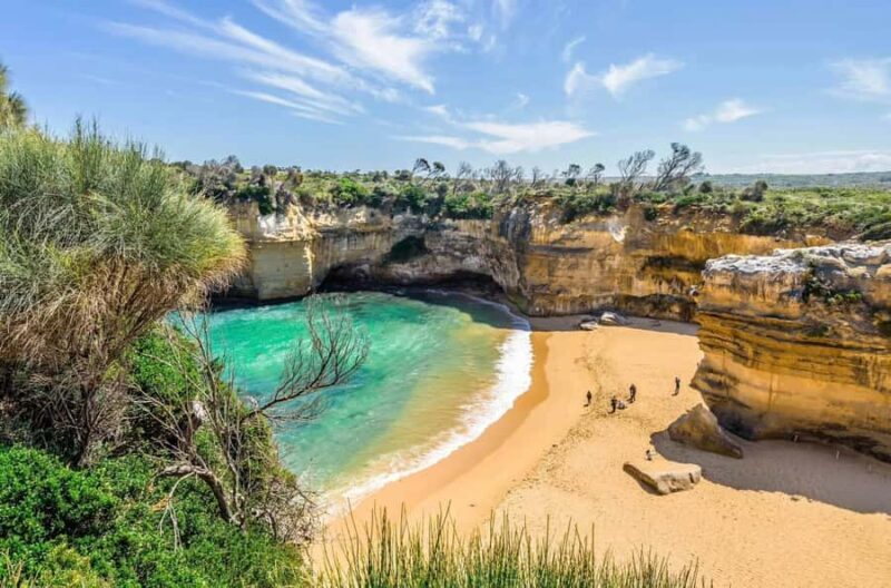 Private Great Ocean Road & 12 Apostles Experience - Why This Tour Delivers Real Value