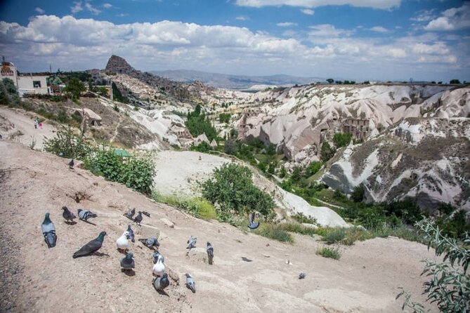 Private GreenTour - Highlights