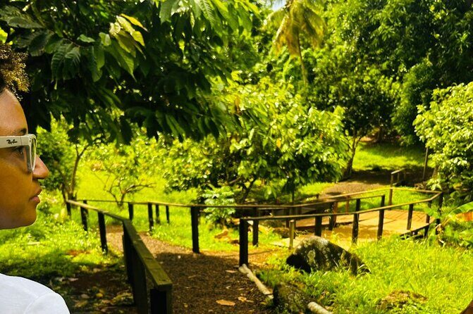 Private Grenada Island Tour Rum, Spice Garden & Grand Anse Beach - The Sum Up  