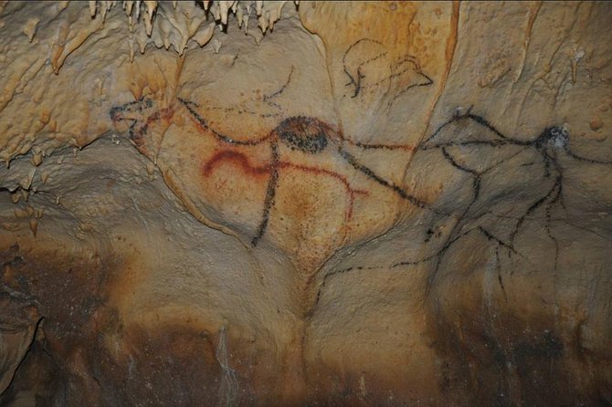 Private Grottes De Cougnac and Château De Beynac Tour  - Bergerac - Cave Art and Stalactites