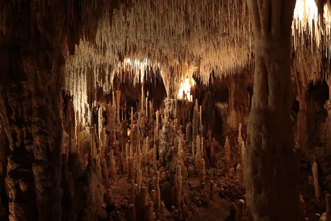 Private Grottes De Cougnac and Château De Beynac Tour  - Bergerac - Cancellation Policy