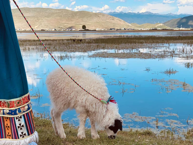 Private Group: 6-Day Yunnan Dali Lijiang Shangri-La Resort Tour - What the hotels and price really buy you