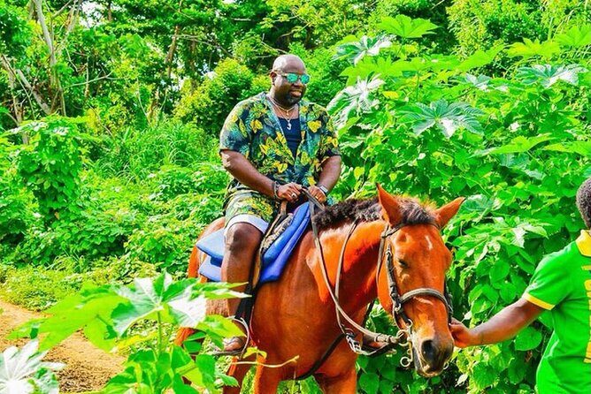 Private Group Beach Horseback Riding in St Anns Bay - An In-Depth Look at the Experience