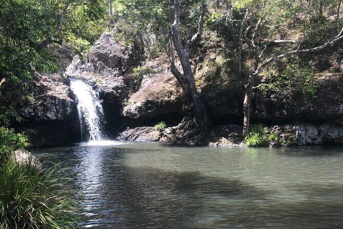 Private Group Tour Brisbane & Gold Coast Personal Tours - What’s Included and What’s Not