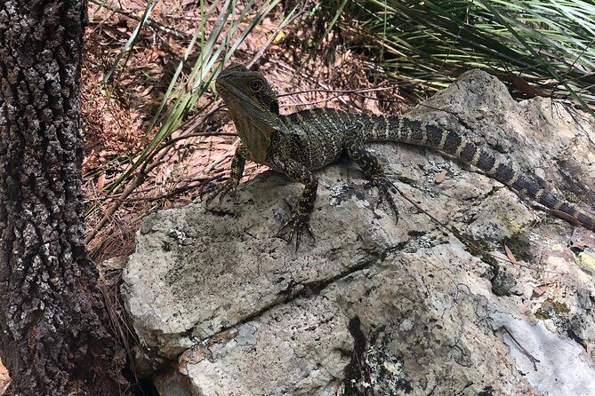 Private Group Tour Brisbane & Gold Coast Personal Tours - Practical Considerations