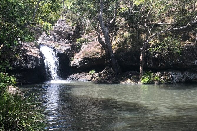 Private Group Tour Brisbane & Gold Coast Personal Tours - Additional Information