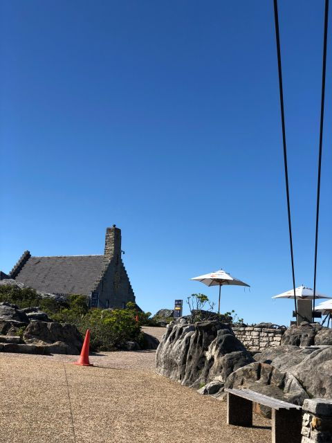 Private Group Tour Tablemountain Penguins &Cape of Good Hope - Experience Highlights