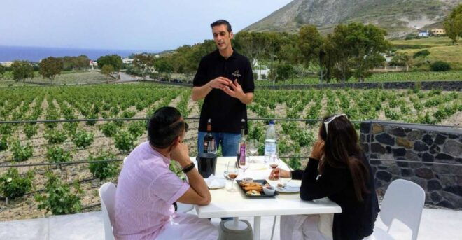 Private Group Visit to Akrotiri & 3 Wineries With Tastings - The Sum Up