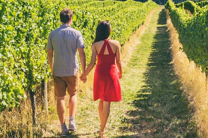 Private Group Wine Tours in Napa Valley - Exploring the Itinerary in Detail