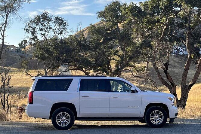 Private Group Wine Tours in Napa Valley - Price and Value Analysis