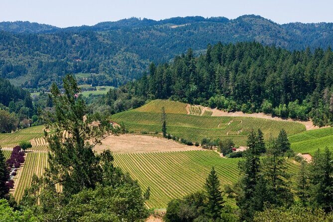 Private Group Wine Tours in Napa Valley - FAQ