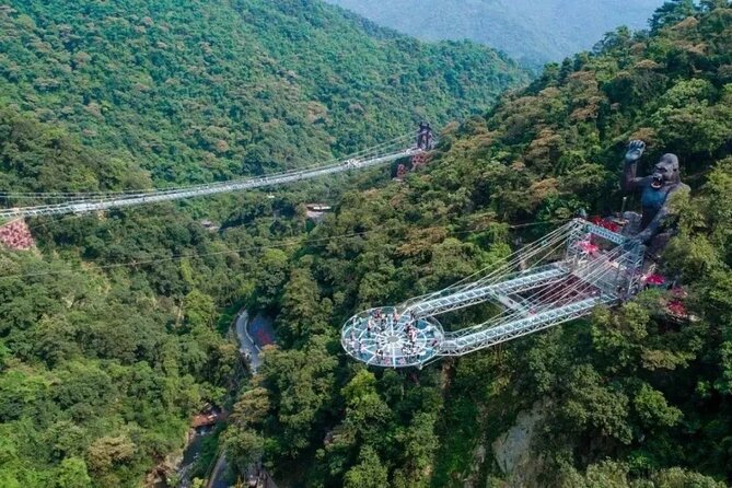 Private Guangzhou Layover Tour to Visit Gulong Gorge Glass Bridge - Traveler Resources and Reviews