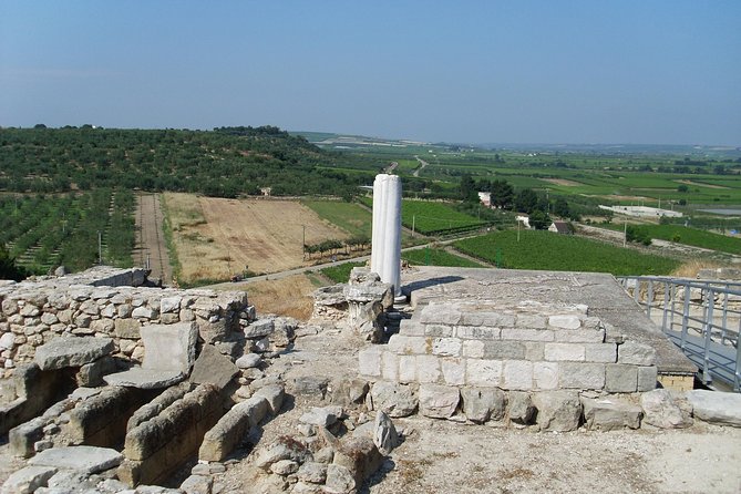 Private Guide Archaeological Ruins of Cannae: Hannibals Victory Over the Romans - Frequently Asked Questions