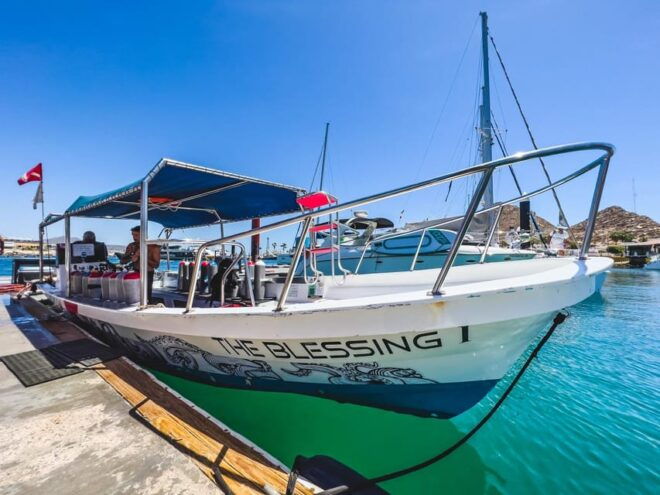 Private Guide Certified Divers Cabo San Lucas Marine Reserve - Equipment and Conditions