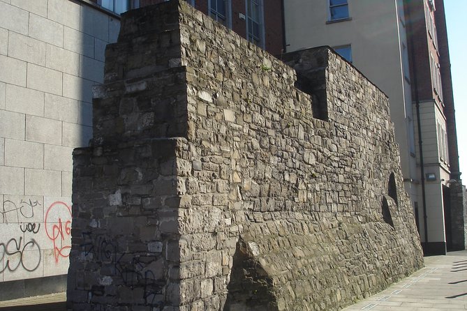 Private Guide Dublin City Experience the City With a Veteran Guide - Local Insights and Stories