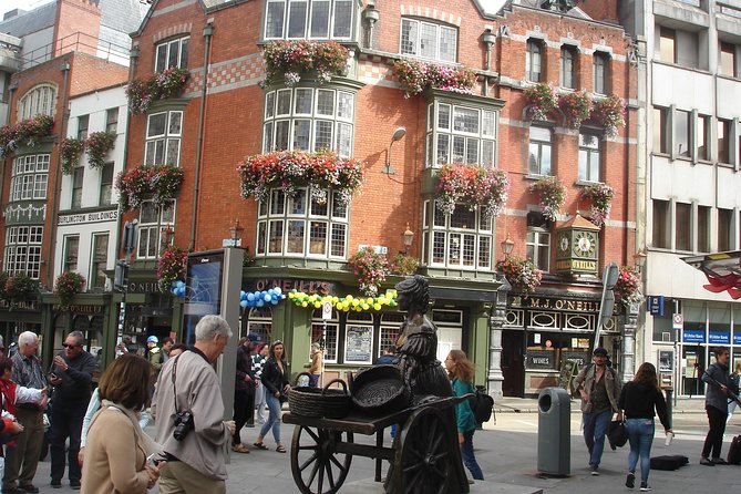 Private Guide Dublin City Experience the City With a Veteran Guide - Assistance and Support