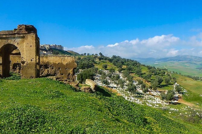 Private Guide In and Around Fez Medina: Custom Tour - Group Size and Cost
