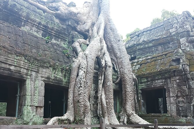 Private Guide in and Around Siem Reap: Custom Tour - Inclusions and Exclusions