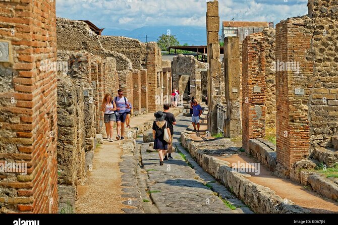 Private Guide Service in Pompeii 2 Hrs - Additional Information
