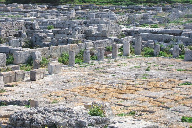 Private Guide to Ruins of Gnatia (Puglia) and Archaeological Museum, Superbly Laid Out and Interpreted Historic Site by the Sea - Cancellation Policy Details