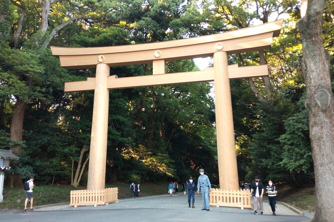 Private Guide Tour in Tokyo Half Day - Benefits of a Private Guide