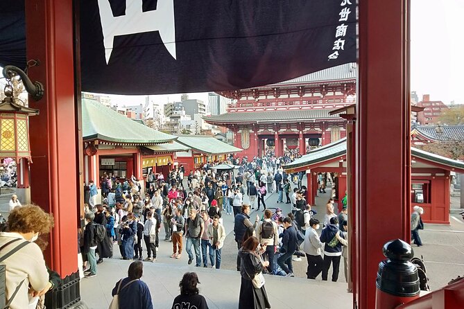 Private Guide Tour in Tokyo Half Day - Customization Options Available