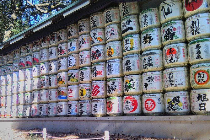 Private Guide Tour in Tokyo Half Day - Pricing and Inclusions