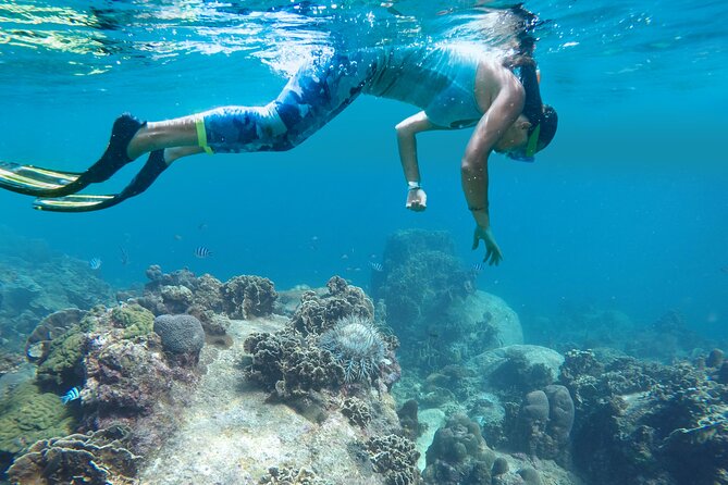 Private Guided 2-Hour Snorkeling Experience in Playa Mantas - Experience Details