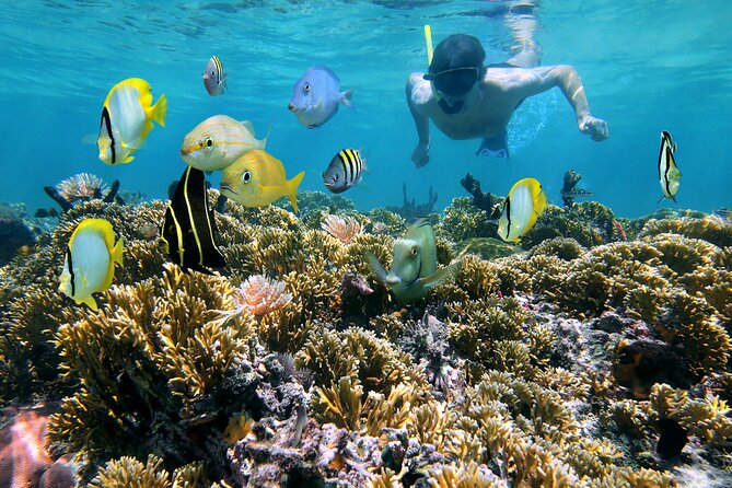 Private Guided 2-Hour Snorkeling Experience in Playa Mantas - Inclusions